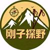 刚子探野头像