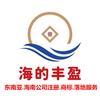 海的丰盈企业服务头像
