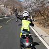 托福五菱光头像