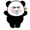 逆袭的小阳哥头像