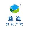尊海知识产权头像