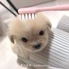 OMG小猫（已有龟）头像