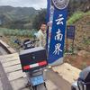 陶友仔头像