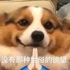 （学习进粉丝群)编程日记本头像