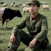 马到成功。nizhangdezhe17头像