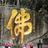 莫萦怀头像