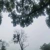 舟捷栗沧澜阁头像