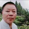 五三年小龙，旅游报名头像