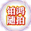 铂鸿随拍头像