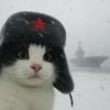 无甜由蜜于玄☭头像
