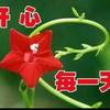 北头的头像
