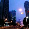 平头哥头像