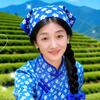 群馨头像