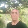 老林头像