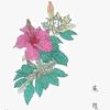劉圦恿头像
