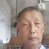 王朝柱头像
