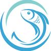吳魚影视'头像