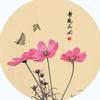 追逐光影mguiq头像