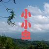 小小虫头像
