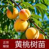 蓝天头像