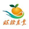 旺橙鲜果园头像