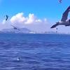 海阔天空……头像