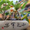 细节决定成败头像
