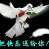 爱民修身头像