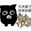 猫猫旭Nya头像