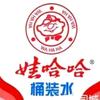 小榄战狼水店头像