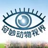 奇妙动物视界头像