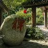 公孙百一头像