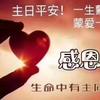 快乐的周柒头像