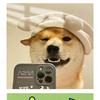 更新头像