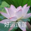 喜乐融融头像