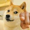 doge头像