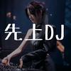 先上DJ（优盘在橱窗）头像