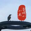 香城小小鸟🐦头像