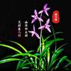 瞭望之窗（梅兰竹菊）头像