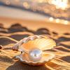 贝壳🐚妈妈育儿说头像