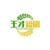王才短剧头像