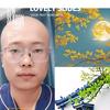 邹跑跑外卖仔头像