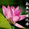 随缘~头像