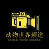 动物世界频道头像