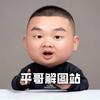 平哥解图站头像
