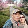 六九年三月十九王总头像