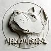 川北的川东猎犬头像
