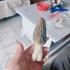 😃全家幸福头像