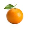 阳光果粒陈🍊头像