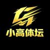 小高体坛头像